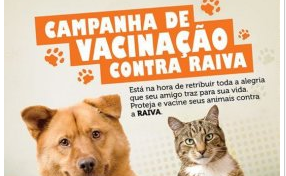 Cachorro Vacina