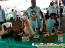 1ª  FEAFAM ( Feira da Agricultura Familiar de Taquaritinga